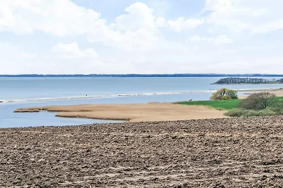 4 Personen Ferienhaus in Assens