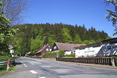 Wolf mit Kaminofen
