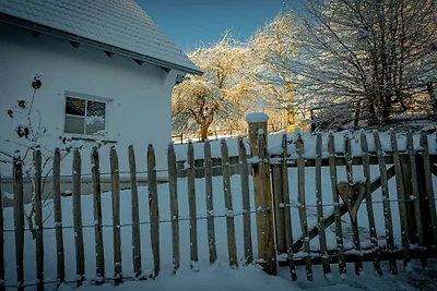 Vakantiehuis Kikkerkoning