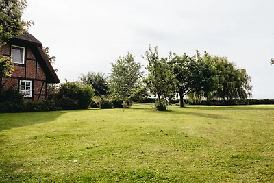 Ferienhaus in Garz mit Schwimmbecken