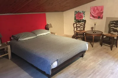 Modern vakantiehuis met zwembad