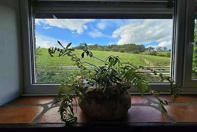 Schönes Ferienhaus mit Garten