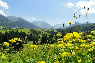Appartamento per vacanze con 1 camera da...