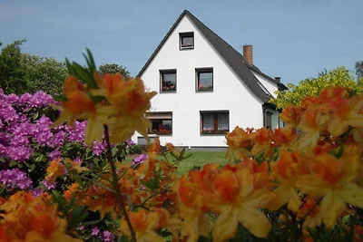 Ferienwohnung mit 2 Schlafzimmer