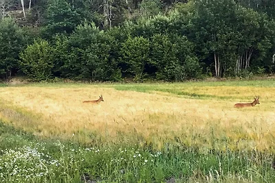 4 Personen Ferienhaus in LYSEKIL