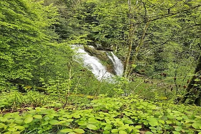 Chalet a Gerardmer vicino piste sci