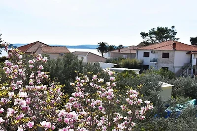 Apartments near the beach Orebic - One bedroo...