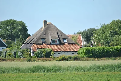 Ruhiges Ferienhaus in Texel mit Terrasse