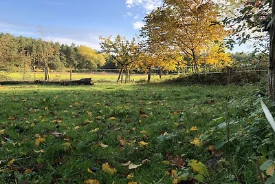 Zirbenstube Wendland