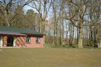 Prettig appartement aan de Oostzeekust met tu...