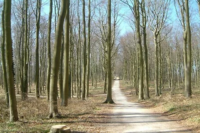 Ferienwohnung mit 2 Schlafzimmer