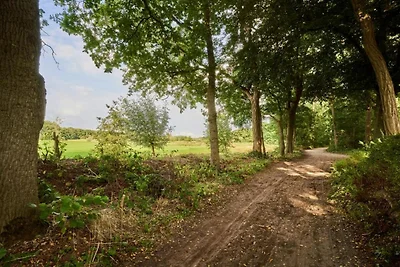 Schöne Zelthütte mit Küche, 10 km. aus Breda