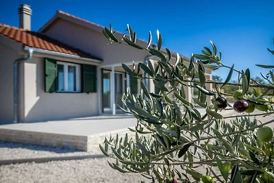 Oliveto mit Pool