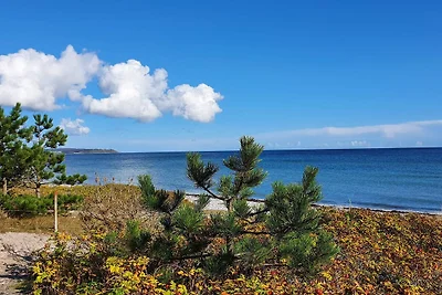 4 Personen Ferienhaus in Ebeltoft-By Traum