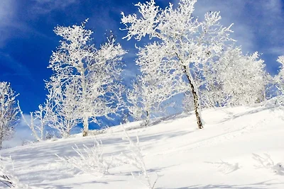 4 Personen Ferienhaus in GEILO-By Traum