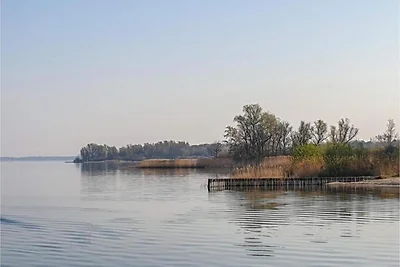 Ferienhaus im Ferienpark Mueritz