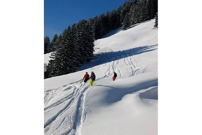 Tannenhäusel Steiner