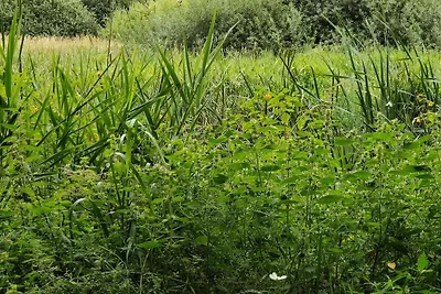 10 Personen Ferienhaus in Fårvang-By Traum