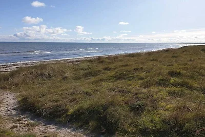 4 Sterne Ferienhaus in Væggerløse-By Traum