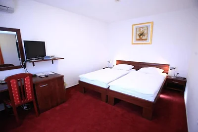 Hotel Orion - Single Room with Mountain View...