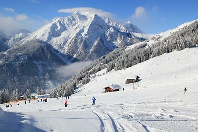 Ferienhaus im Fieschertal Wallis mit Garten