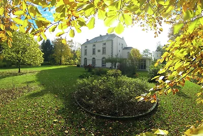 Herenhuis in Mettet met tuin