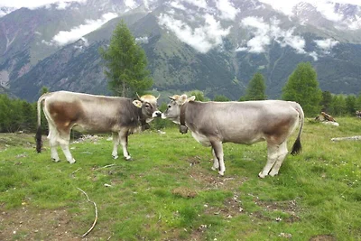 Appartamento per vacanze con 1 camera da...
