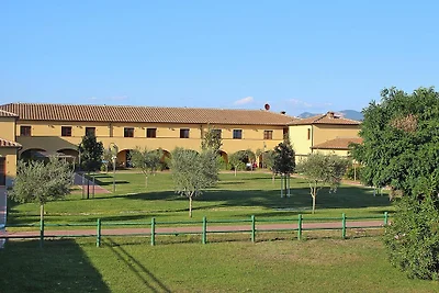 Wohnung in Piombino mit Terrasse