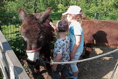 Gospodarstwo Perhinig