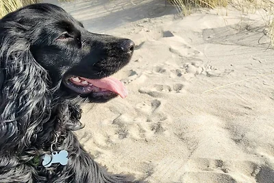 Luxus-Ruckzugsort am Strand -- By Traum...