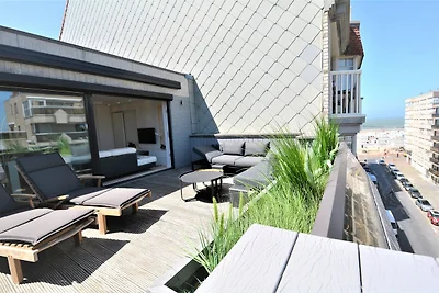 Penthouse mit geräumiger Terrasse in...