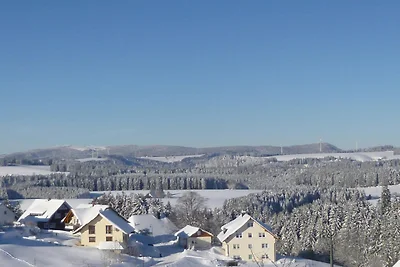 Ferienwohnung, Furtwangen