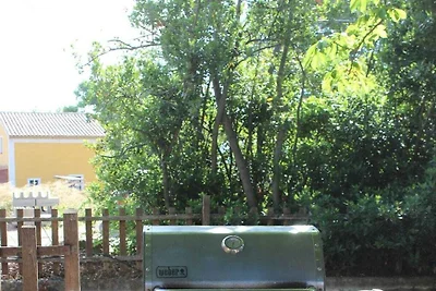 Studio Maison abrikoos