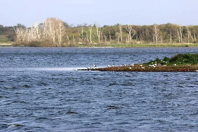 Serenita marina a Henne Strand-By Traum
