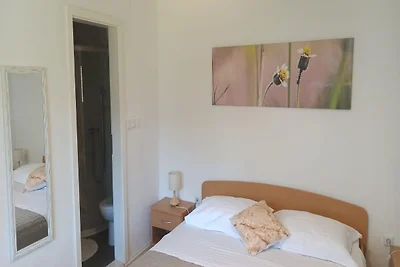Apartments & Rooms Jokovic-Standard Studi...