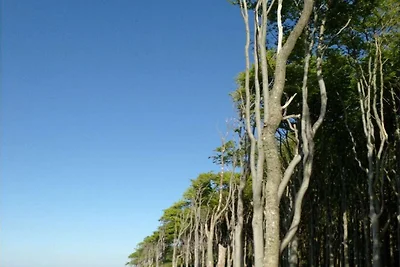 Splendida vista