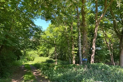 Huisje in Veluwe bij Hoge Veluwe Park