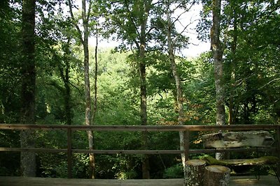 Ecolodge in Sequoia met terras