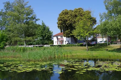 Vakantieappartement met 1 slaapkamer