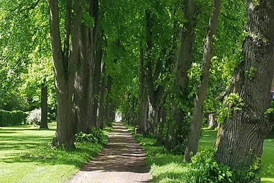 Wohnung in Höxter nahe Schloss Corvey