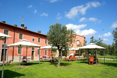 Gemütliches Ferienhaus mit Pool