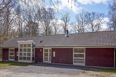 Idyllisches Ferienhaus in Hasle (Bornholm)