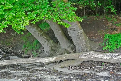 Ruhiger Ruckzugsort in Hejlsminde-By Traum