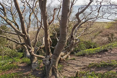 6 Personen Ferienhaus in Ebeltoft
