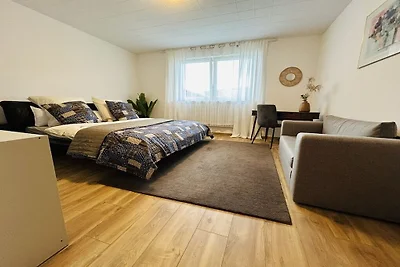 Apartament wakacyjny w Landstuhl z grillem