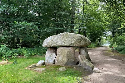 5 Sterne Ferienhaus in Hovborg-By Traum