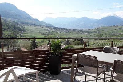 Araucaria presso Residence Braiter