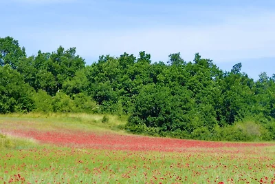Casa vacanze con giardino privato a...