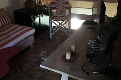 Huis in dennenbos met omheinde tuin