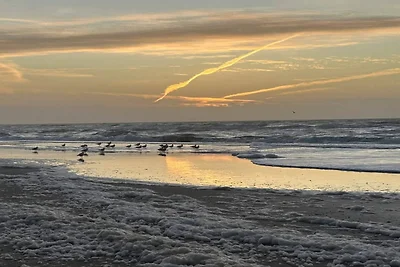 5 Sterne Ferienhaus in Henne-By Traum